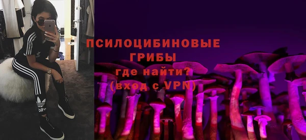 jwh Бородино