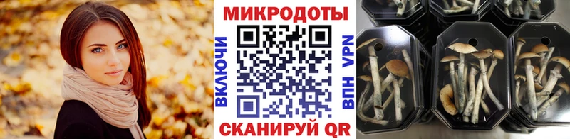 Псилоцибиновые грибы Psilocybine cubensis  Купить  Малгобек 